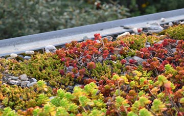the cost of Collaton green roof installation