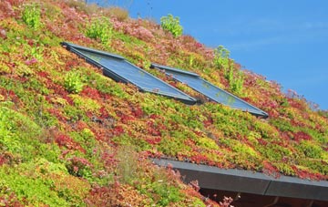 Collaton living roof systems